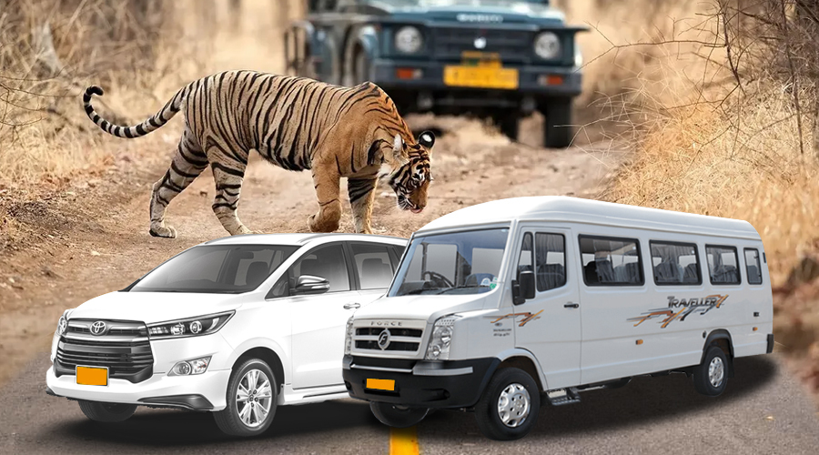 Jaipur to Ranthambore Taxi Service